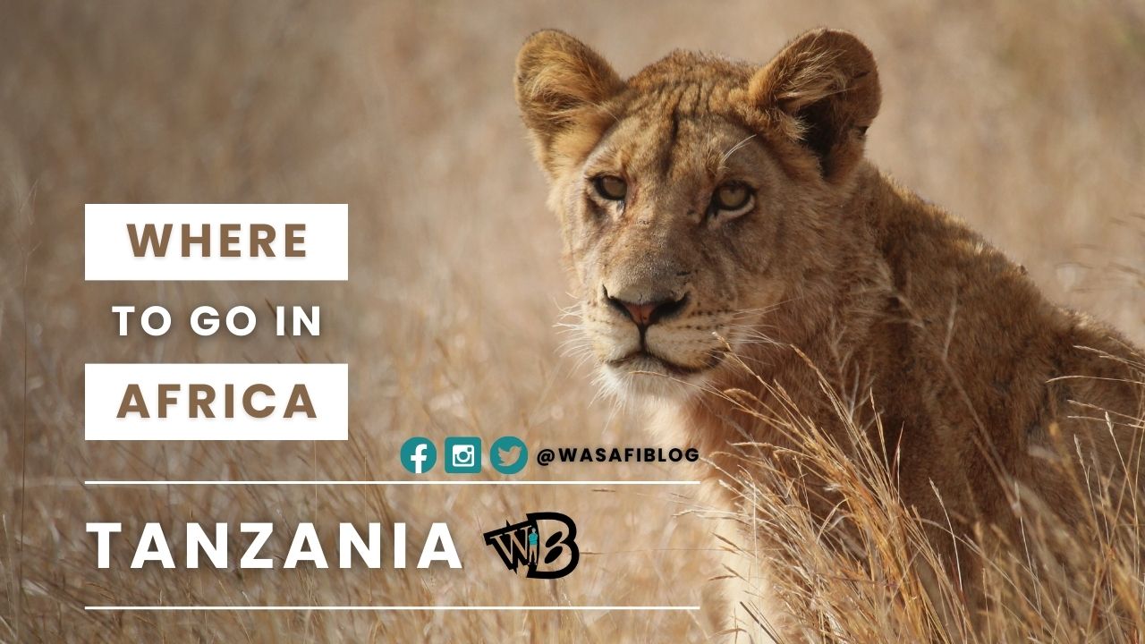 7-Reasons-Why-Tanzania-Is-The-Best-African-Safari-Destination