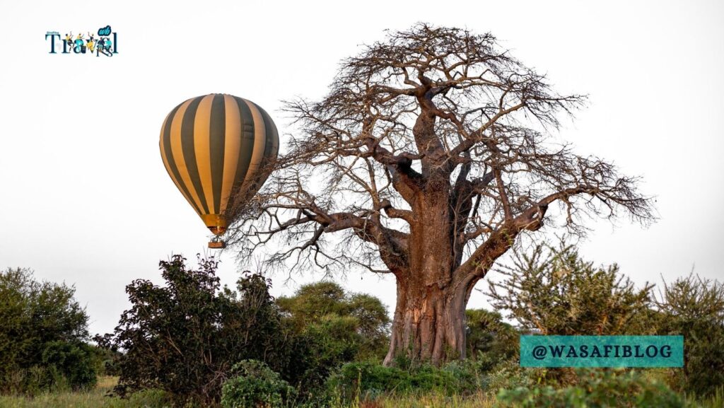 wasafiblog Soaring Above the Wild A Hot Air Balloon Adventure in Tanzania 1