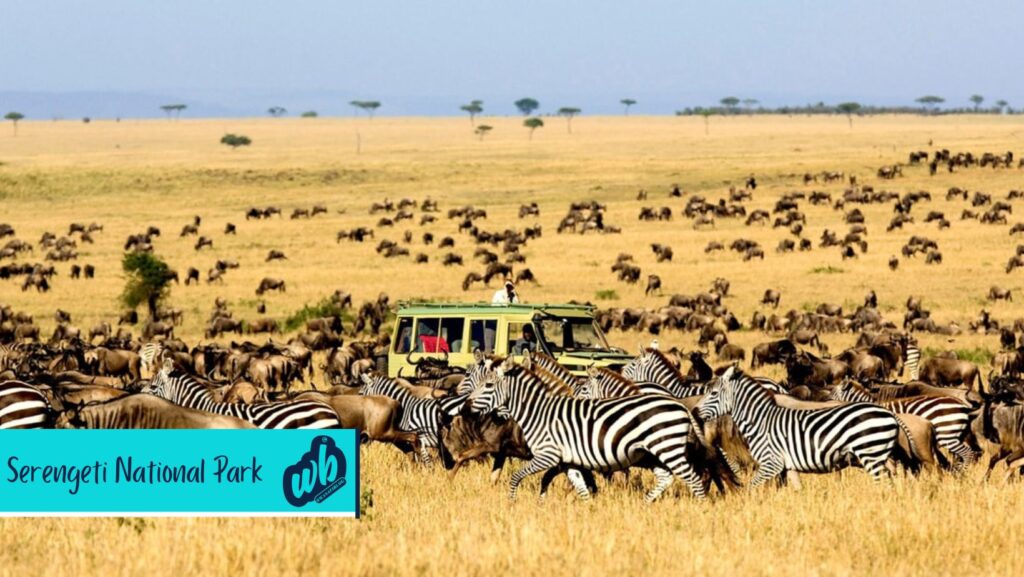 Top Best Tourist Attractions in Tanzania 3