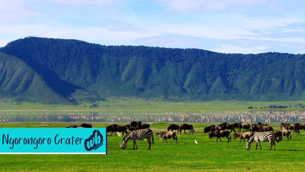 Top Best Tourist Attractions in Tanzania Ngorongoro