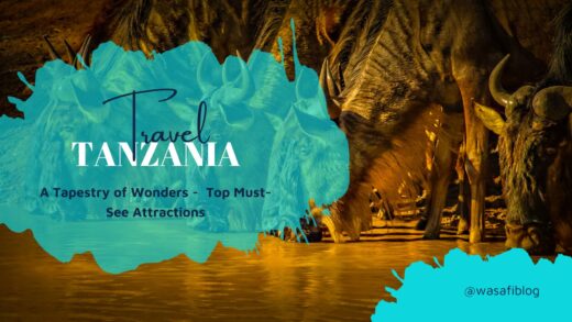 Best Tourist Attractions in Tanzania